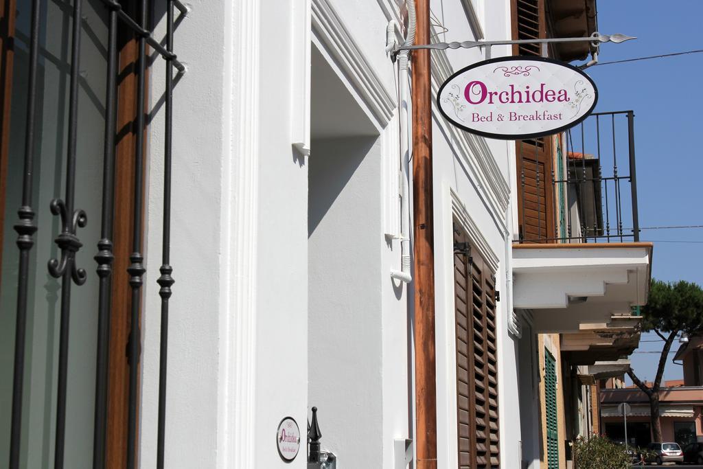 Orchidea Rooms & Suites Civitanova Marche Exterior foto